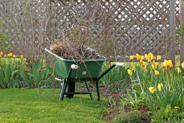 Flower Bed Cleanup Service in Minneapolis