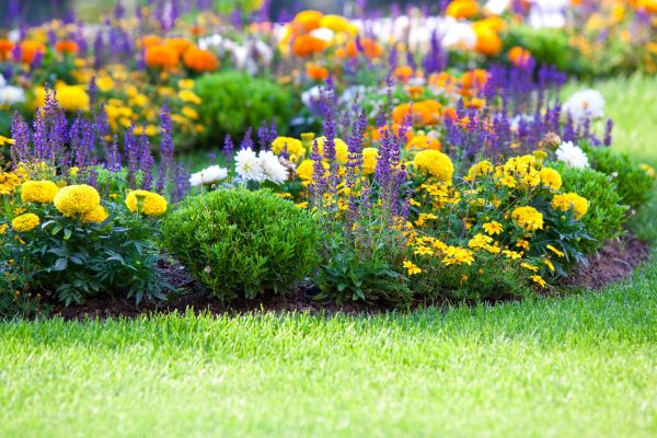 Flower Bed Maintenance in Minneapolis