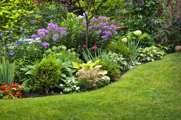 Flower Bed Service in Minneapolis