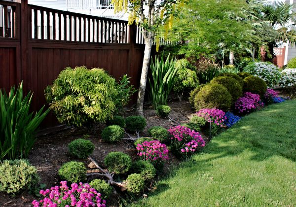 Garden Care Service in Minneapolis