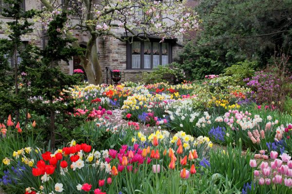 Garden Maintenance Service in Minneapolis