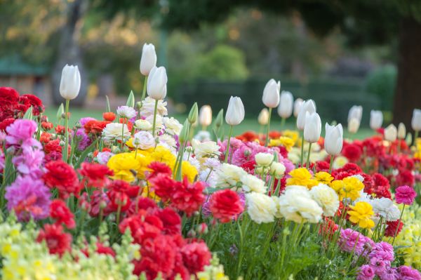 Gardening Service in Minneapolis