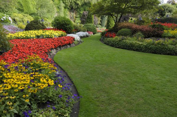 Landscaping Maintenance in Minneapolis