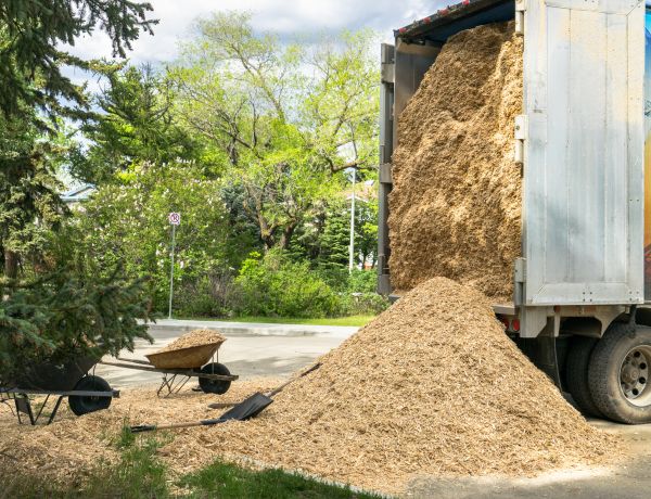 Wood Chips Delivery in Minneapolis