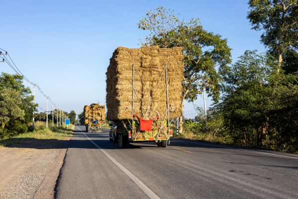 Pine Straw Delivery in Minneapolis