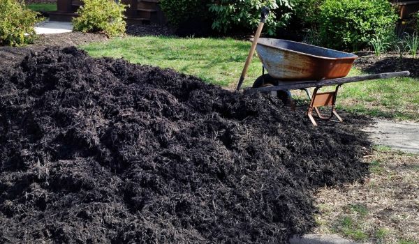 Black Mulch Delivery in Minneapolis