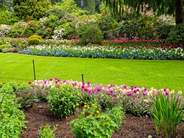 Residential Landscape Design in Minneapolis