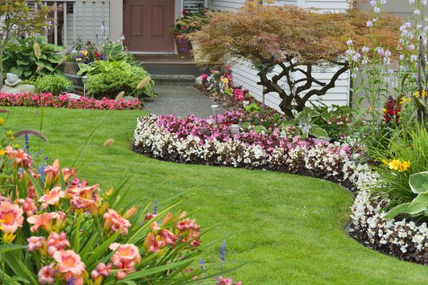 Perennial Landscaping in Minneapolis