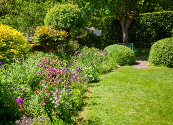 Yard Landscaping Service in Minneapolis