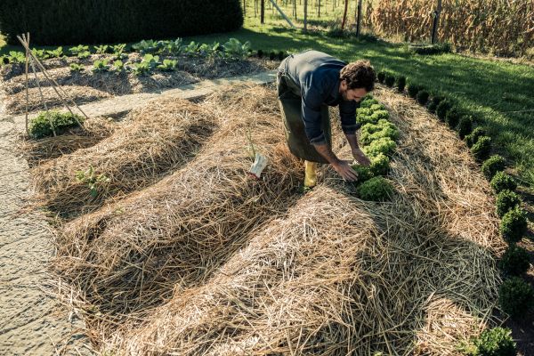 Straw Mulching Service in Minneapolis