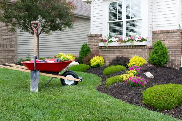 Tree And Shrub Planting in Minneapolis