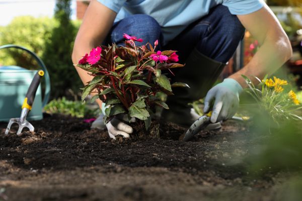 Plant Installation in Minneapolis