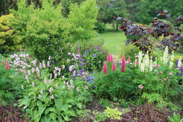 Flower Bed Planting in Minneapolis