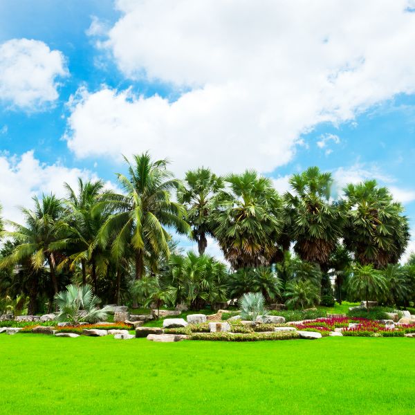 Tropical Landscaping in Minneapolis