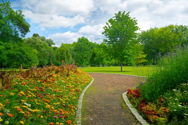 Park Landscaping in Minneapolis