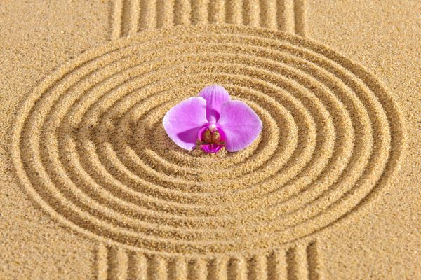 Sand Garden Landscaping in Minneapolis