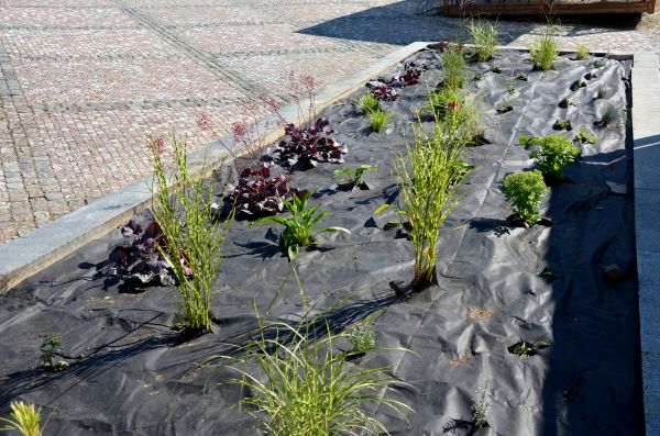 Landscape Fabric Installation in Minneapolis