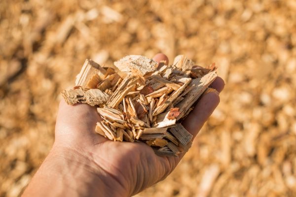 Wood Chips Spreading in Minneapolis