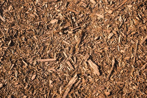 Wood Chips Removal in Minneapolis