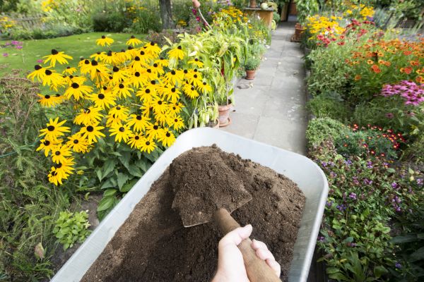 Topsoil Replacement in Minneapolis