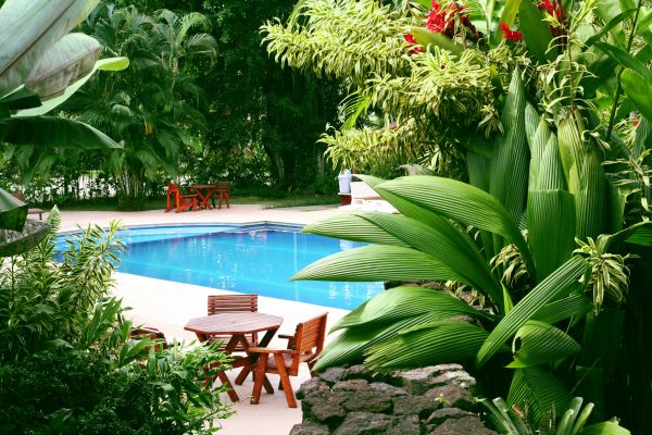 Pool Area Landscaping in Minneapolis