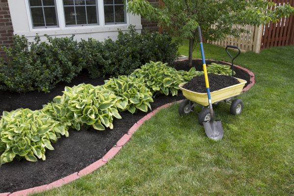 Landscape Mulching in Minneapolis