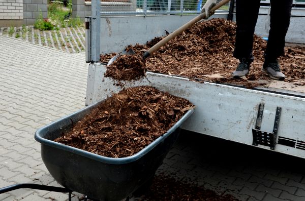 Cedar Mulch Delivery in Minneapolis