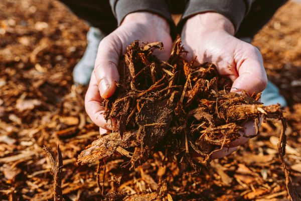 Bark Chips Delivery in Minneapolis