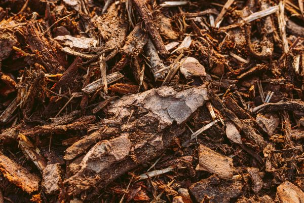 Bark Mulch Delivery in Minneapolis
