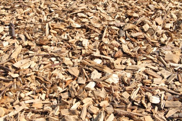 Wood Mulch Delivery in Minneapolis