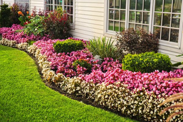 House Landscaping in Minneapolis