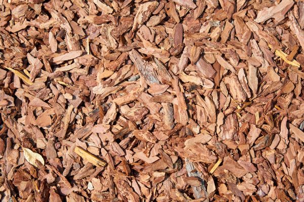 Pine Mulch Spreading in Minneapolis