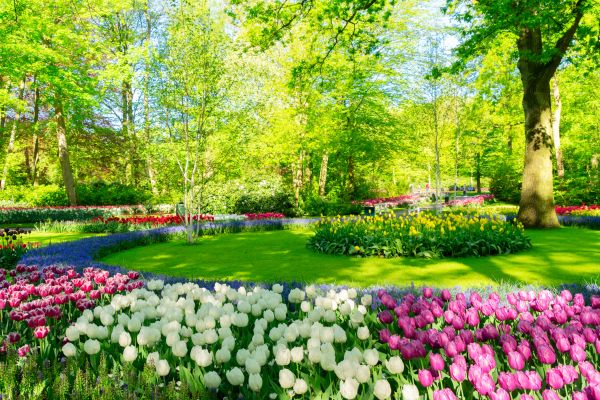 Flower Landscaping in Minneapolis