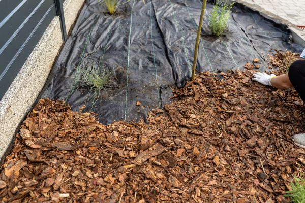 Pine Bark Spreading in Minneapolis