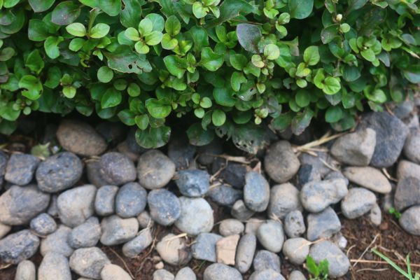 River Stone Installation in Minneapolis