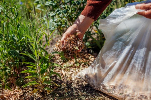Wood Mulch Installation in Minneapolis