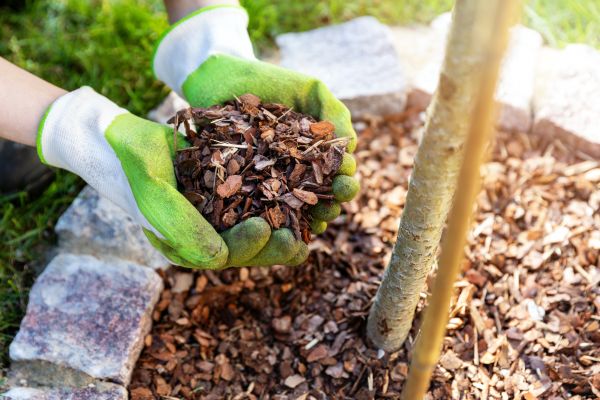 Tree Bark Delivery in Minneapolis