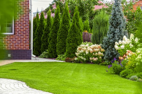 Spring Landscaping in Minneapolis