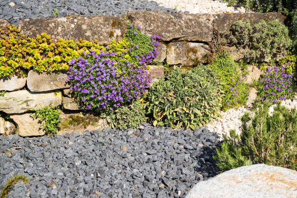 Landscaping Rocks Installation in Minneapolis