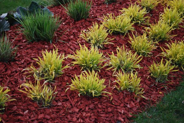 Red Mulch Installation in Minneapolis