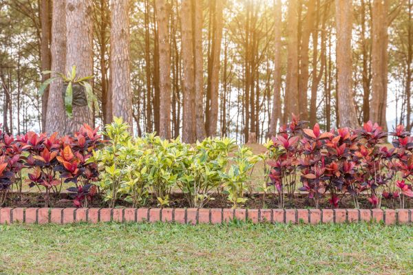 Small Garden Landscaping in Minneapolis