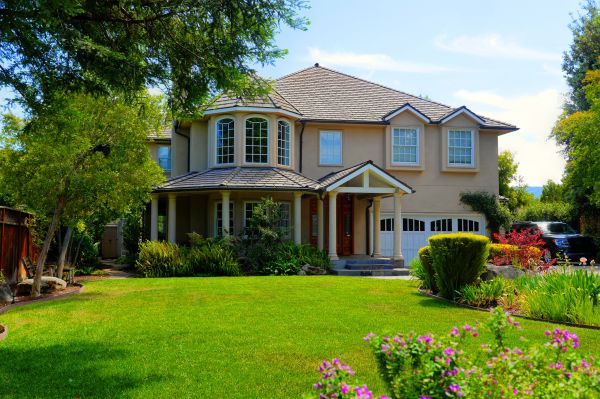 Large Yard Landscaping in Minneapolis