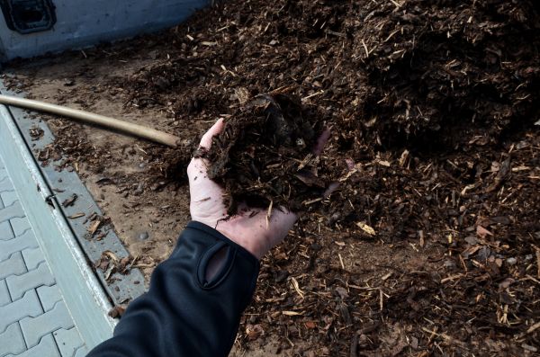 Condo Mulching in Minneapolis