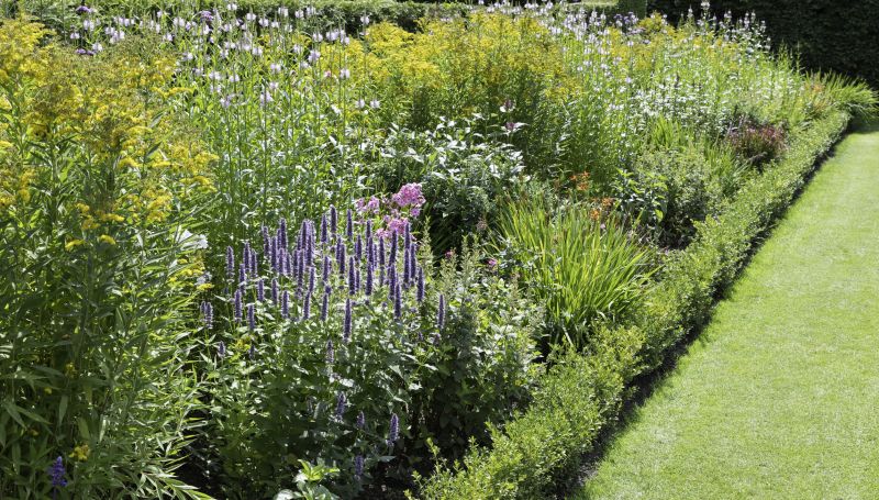 Landscaping with Native Plants